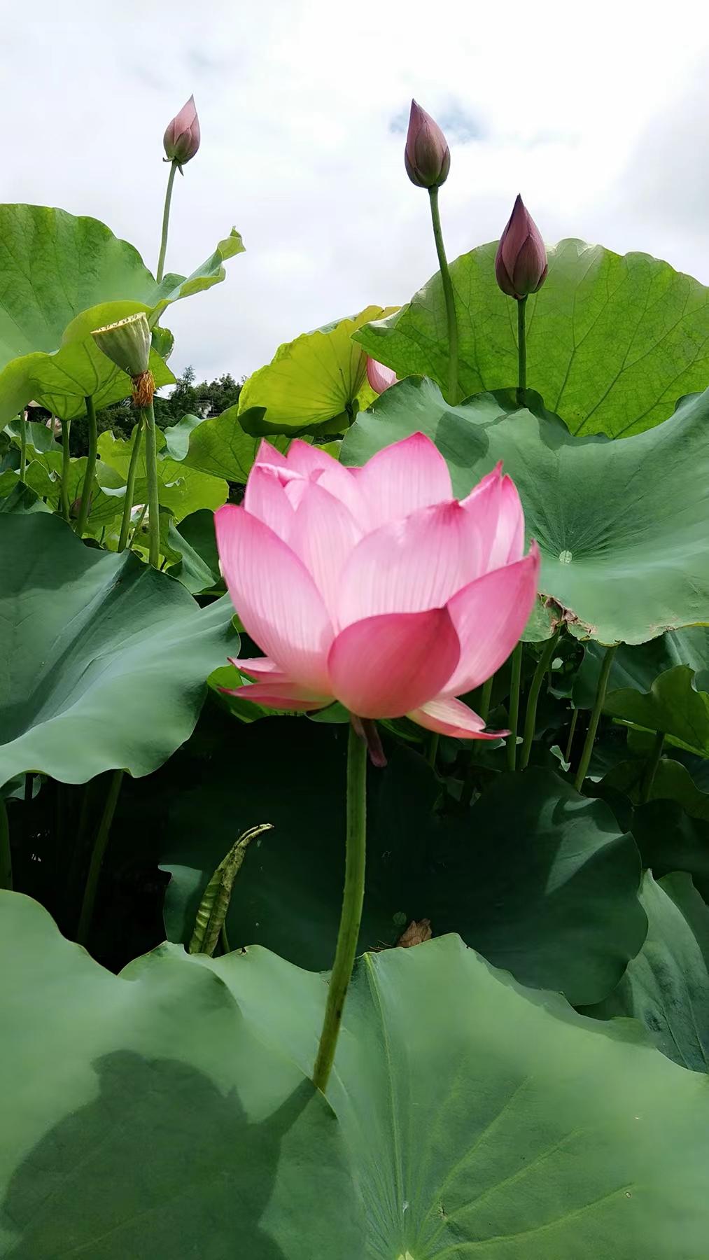 http://www.cclatex.cn/hsdt/221.html